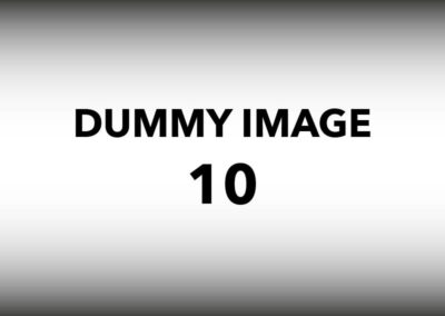 Dummy IMG 10